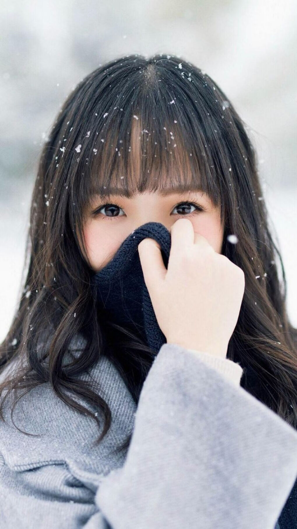 关东铁血鏖战，胡金秋定鼎江山