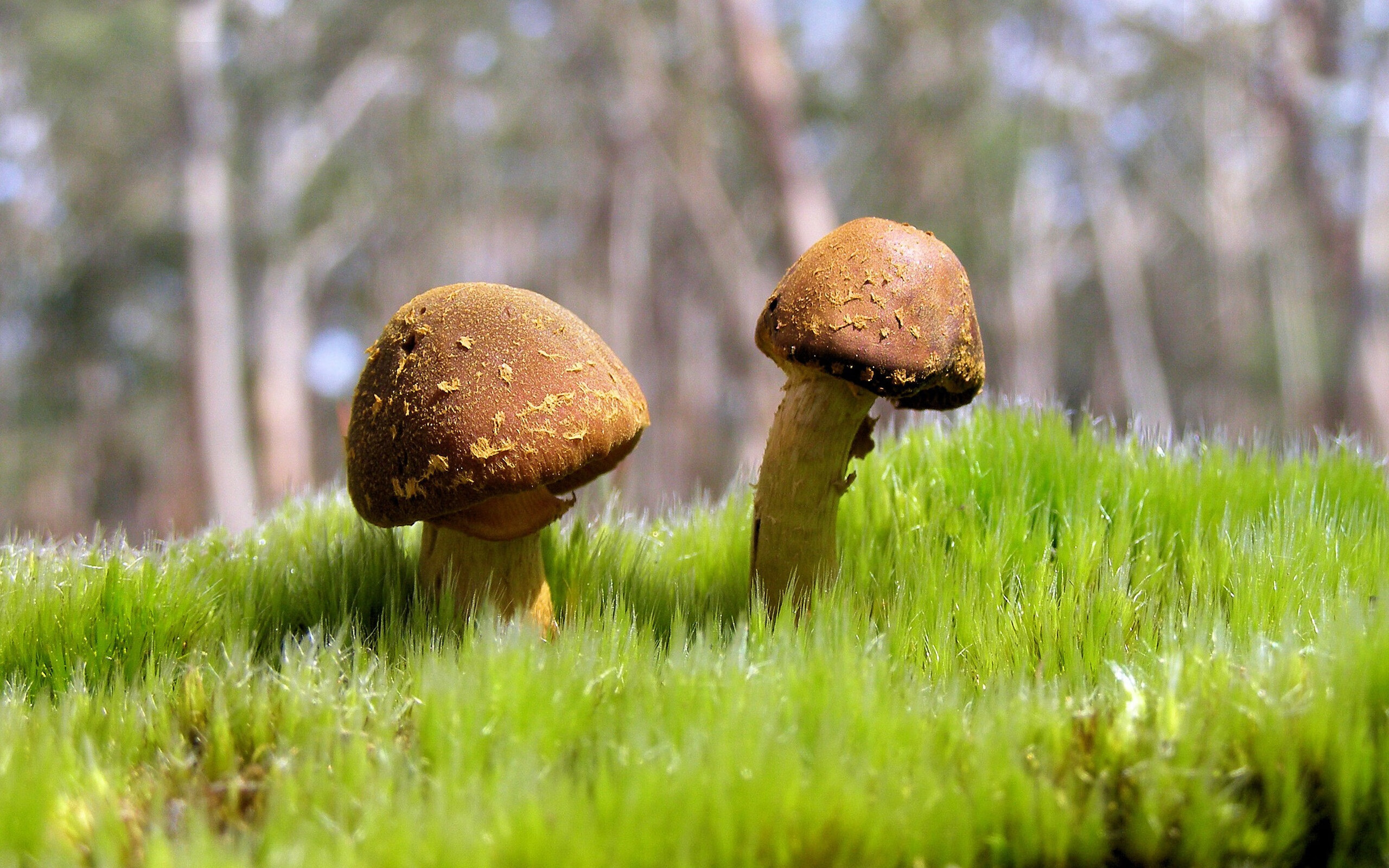 意甲焦点战，终场哨前的救赎，伊萨克挺身而出