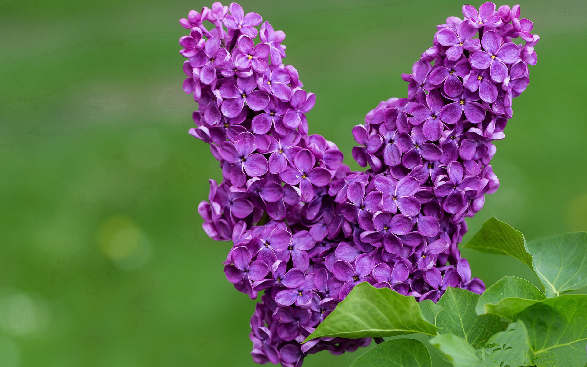 当巨星灼热如常，当爆冷冻结预期—足球世界的热力学守恒