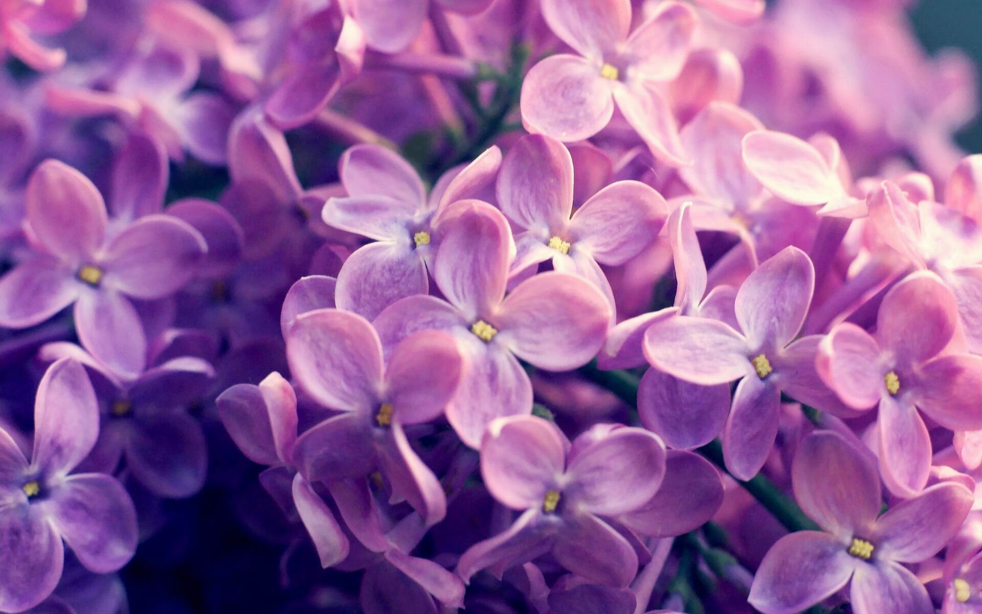 季后赛抢七之夜,凯塞多用左手鲜血铸就千分先生里程碑