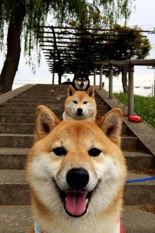 唯一性的碰撞，F1新赛季揭幕战与韩国稳稳拿下比利亚雷亚尔的非凡交响