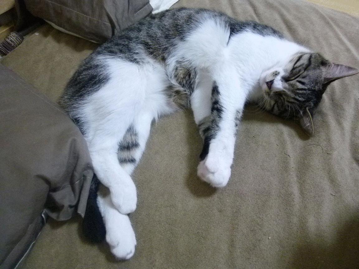 撕裂的战场,当传控的洪流遇上个人英雄主义