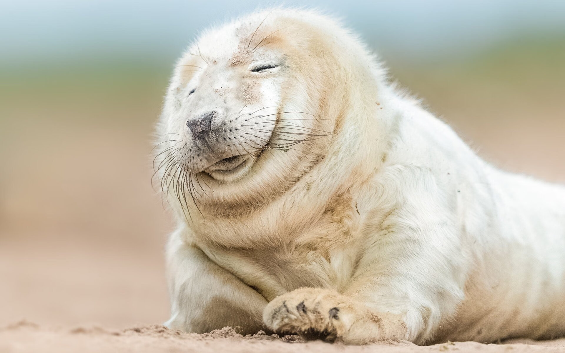 辽宁队横扫开拓者！德罗赞撕裂时空的连续得分拉开时代差距