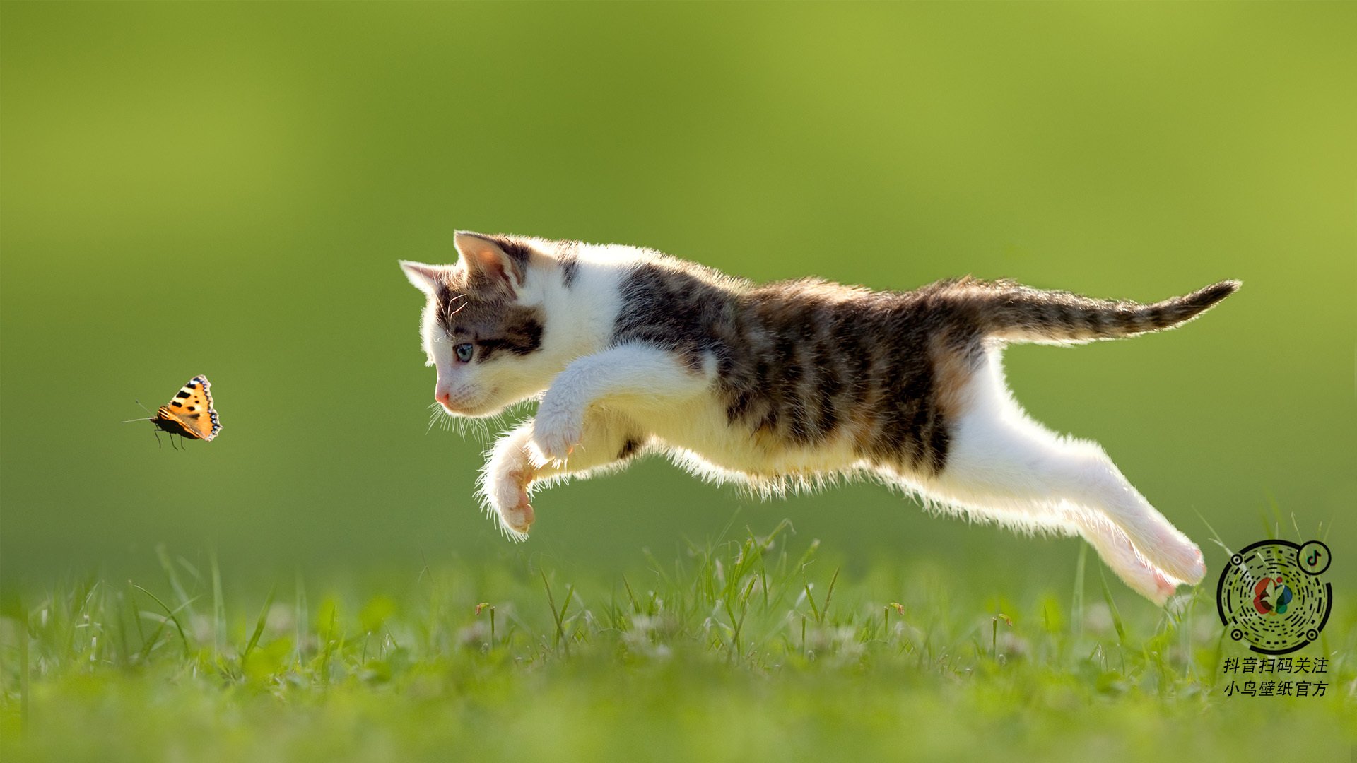 球场中心的引力场,赖斯让瑞典超越胜利