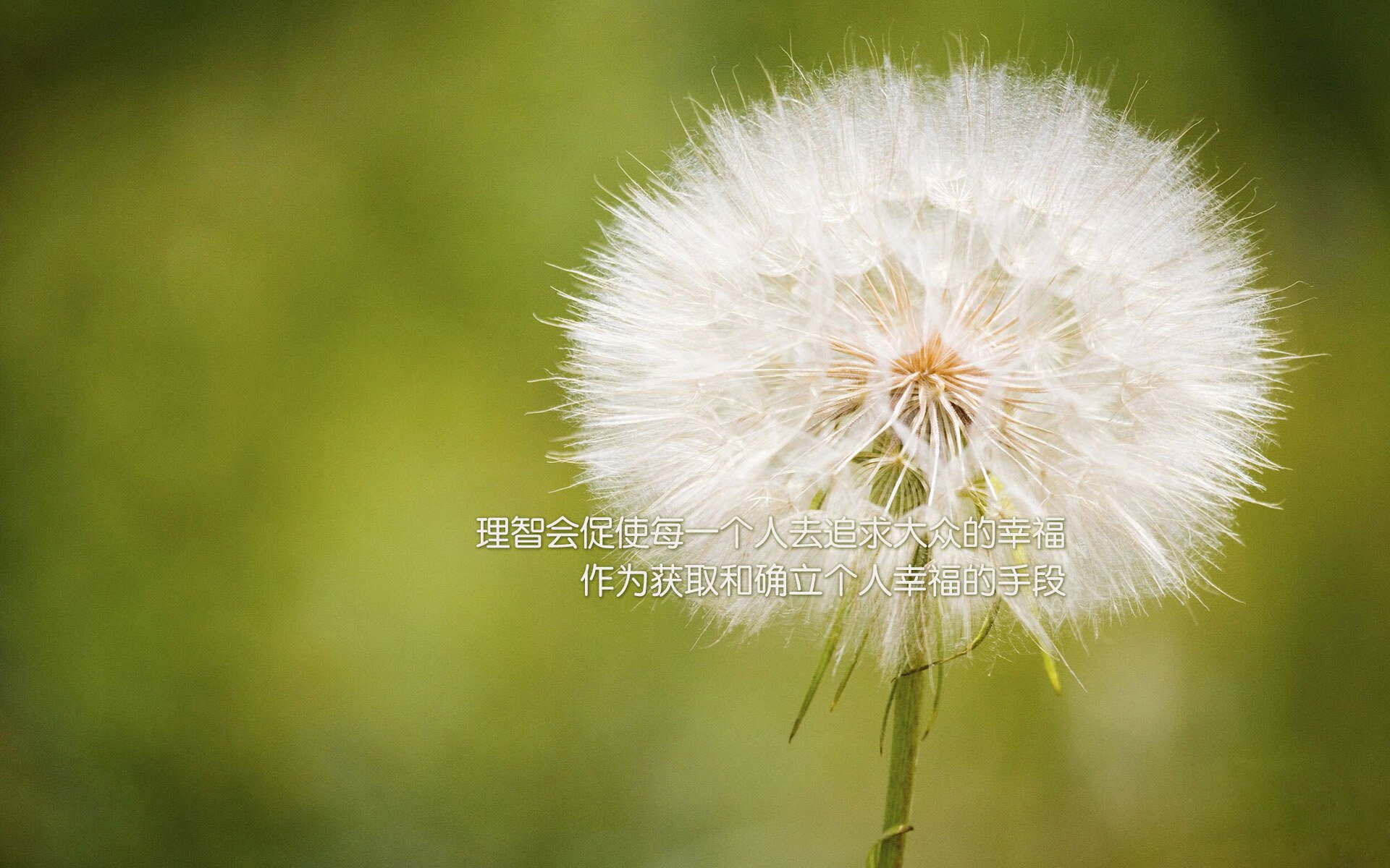 跨越联赛的唯一对决,76人意外胜吉林,字母哥成救世主