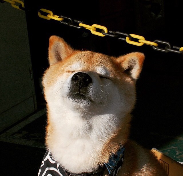 终结时代！公牛决胜局用最古典的方式，撕碎了湖人的现代篮球神话