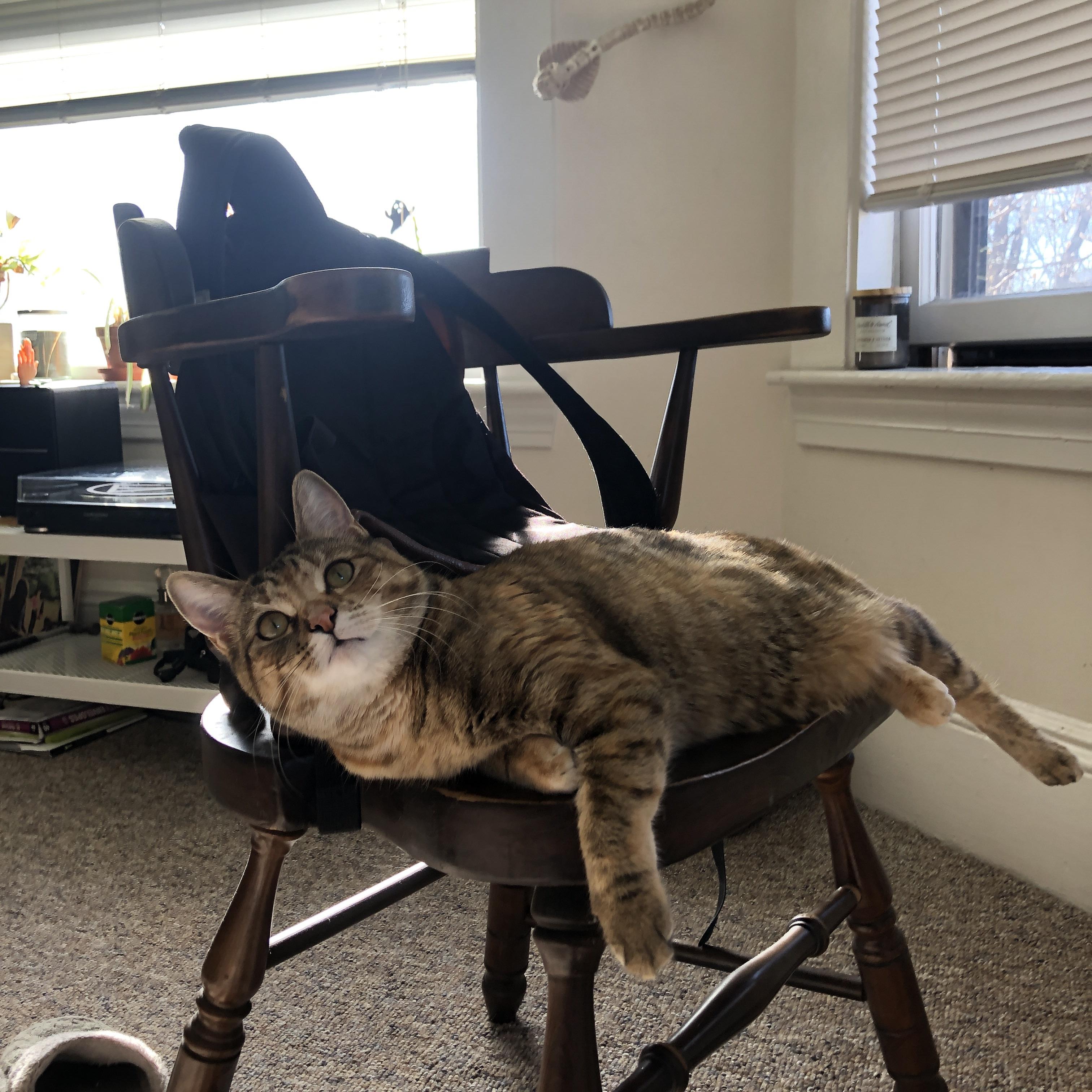 末节统治者！热火全面封锁尼克斯，保罗演绎冠军级掌控力